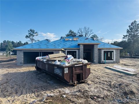 A home in Citrus Springs