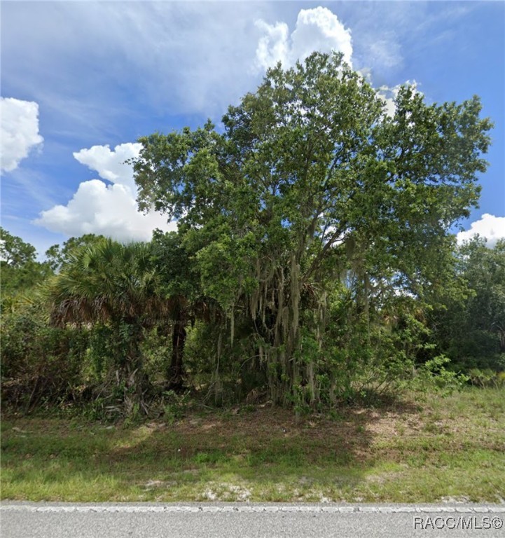 16269 Hillsborough Boulevard, Port Charlotte, Florida image 1