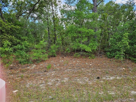 Vacant Land For Sale - 1681 W Skyline Drive<br/> Dunnellon, FL 34434