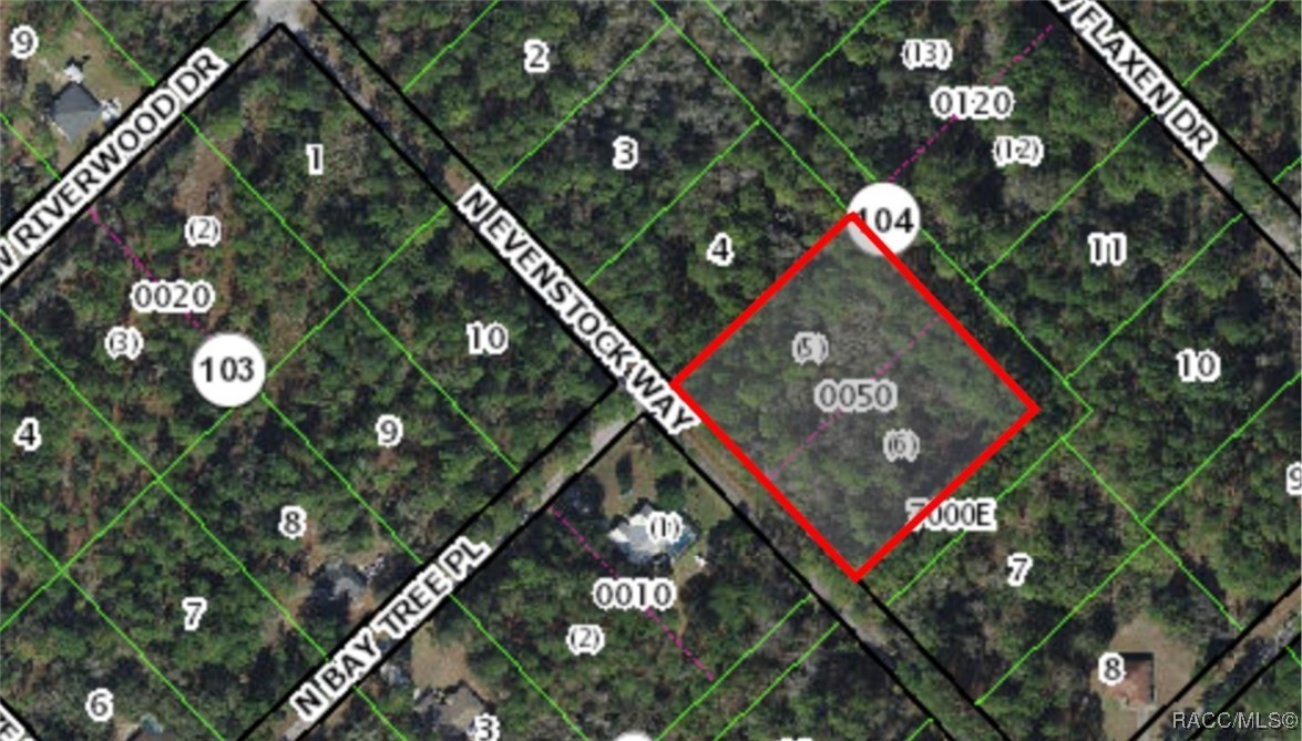 9219 N Evenstock Way, Crystal River, Florida image 1