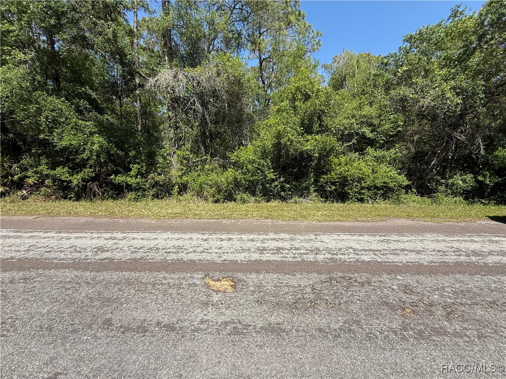9219 N Evenstock Way, Crystal River, Florida image 3