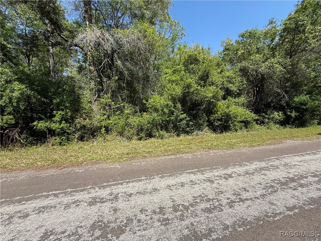 9219 N Evenstock Way, Crystal River, Florida image 2