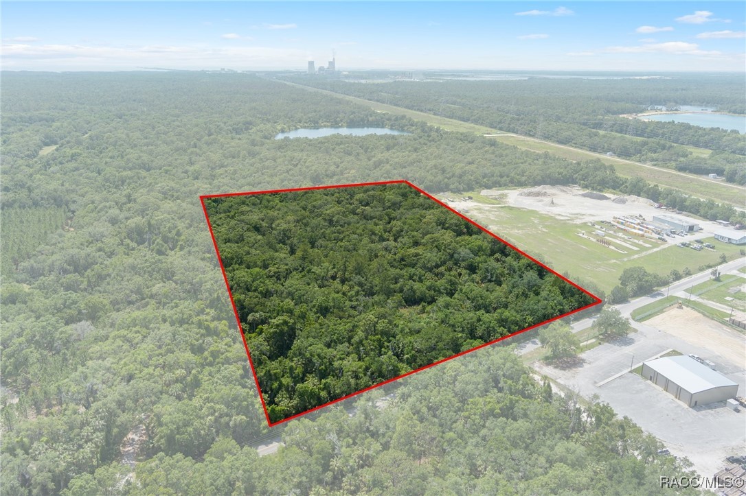 6550 N Tallahassee Road, Crystal River, New York image 5