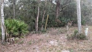 4494 N Tallahassee Road