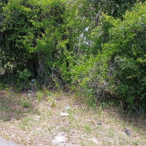 Vacant Land For Sale - 215 & 217 Country Walk Walk<br/> Inverness, FL 34453