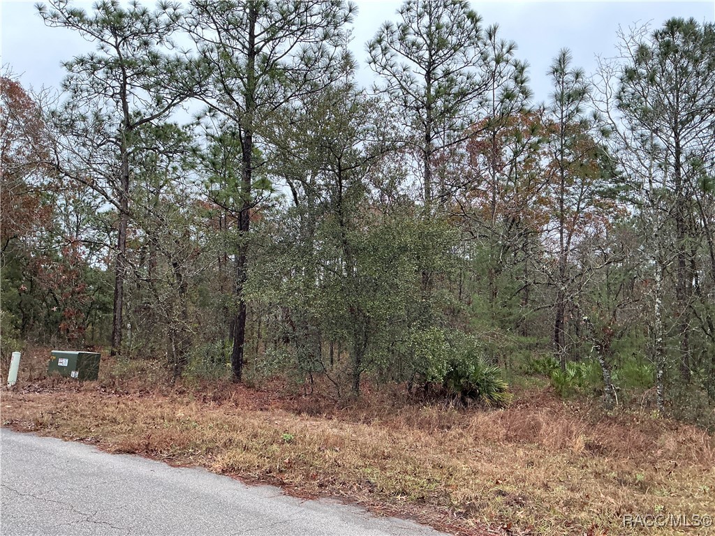 6 Shamrock Court, Homosassa, Florida image 2