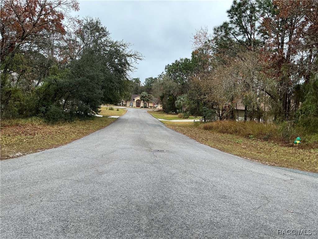 6 Shamrock Court, Homosassa, Florida image 4
