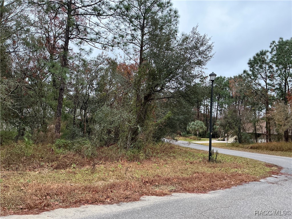 6 Shamrock Court, Homosassa, Florida image 3