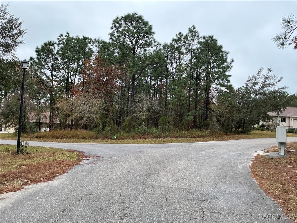 6 Shamrock Court, Homosassa, Florida image 6