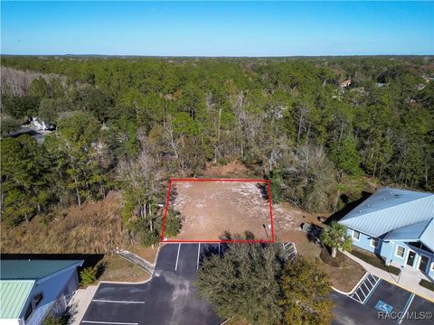 Vacant Land For Sale - 8401 S Suncoast Blvd Blvd<br/> Homosassa, FL 34446