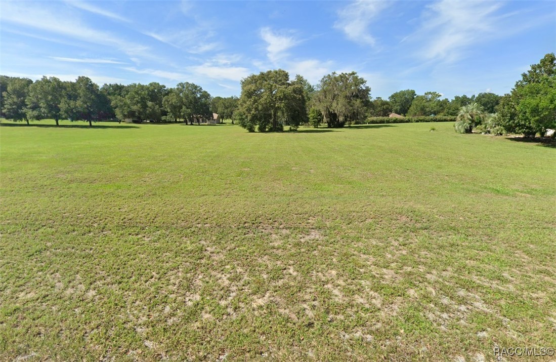 758 E Everett Lane, Hernando, Florida image 3