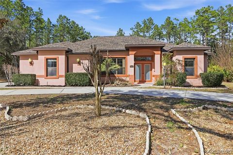 5537 W Cisco Street Beverly Hills FL 34465