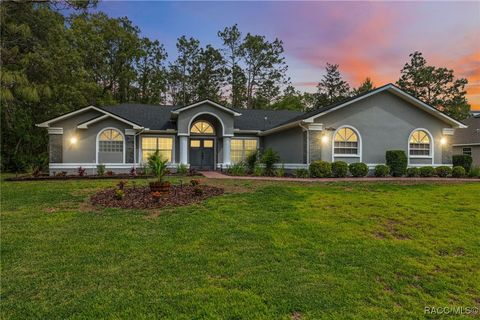 9 Plumbago Court Homosassa FL 34446