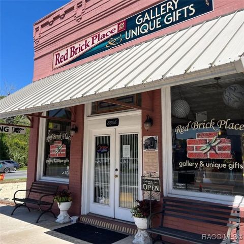 8305 orange Avenue E Floral City FL 34436