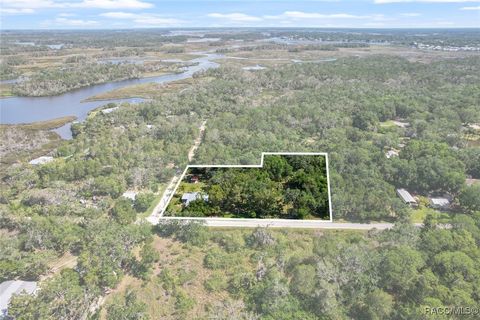 A home in Homosassa