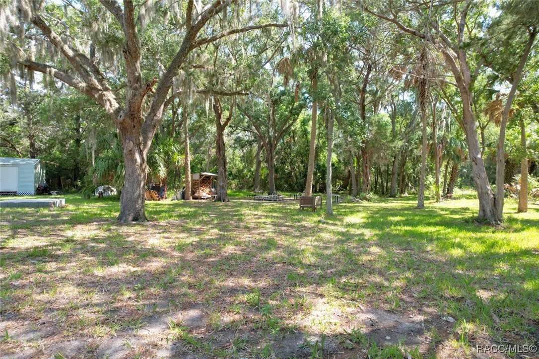 12251 W Red Maple Street, Homosassa, Florida image 5