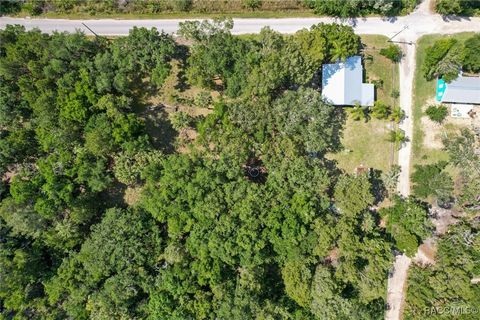 A home in Homosassa