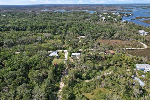 A home in Homosassa