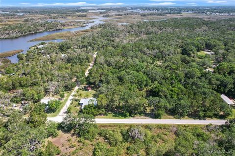 A home in Homosassa