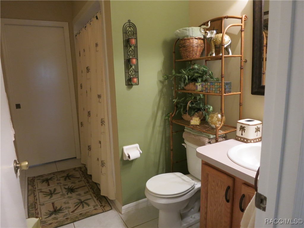 1799 W Shanelle Path, Lecanto, New York image 27