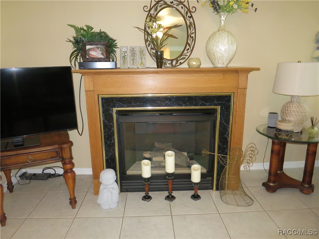 1799 W Shanelle Path, Lecanto, New York image 21