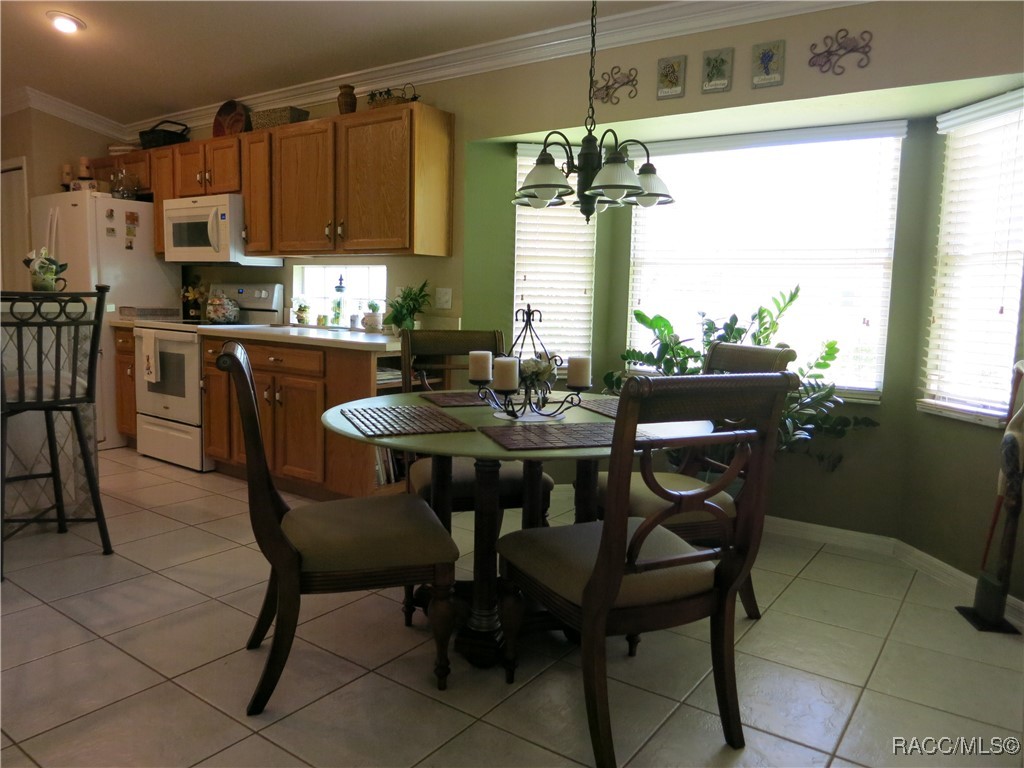 1799 W Shanelle Path, Lecanto, New York image 15