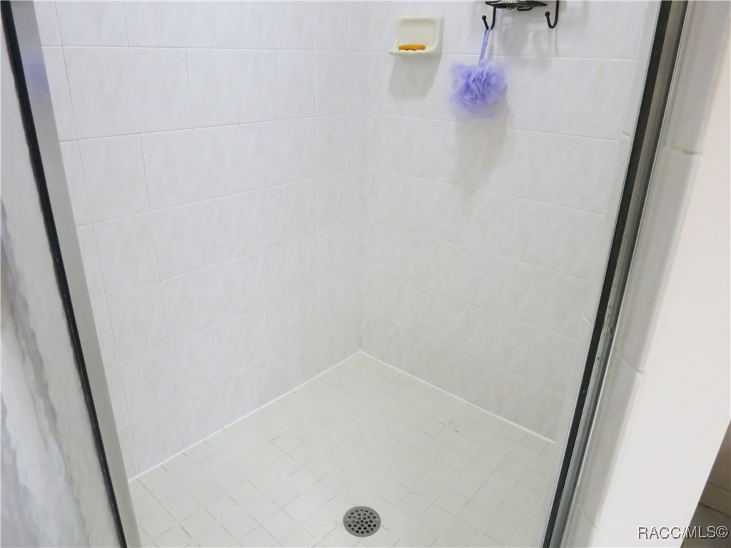 1799 W Shanelle Path, Lecanto, New York image 47