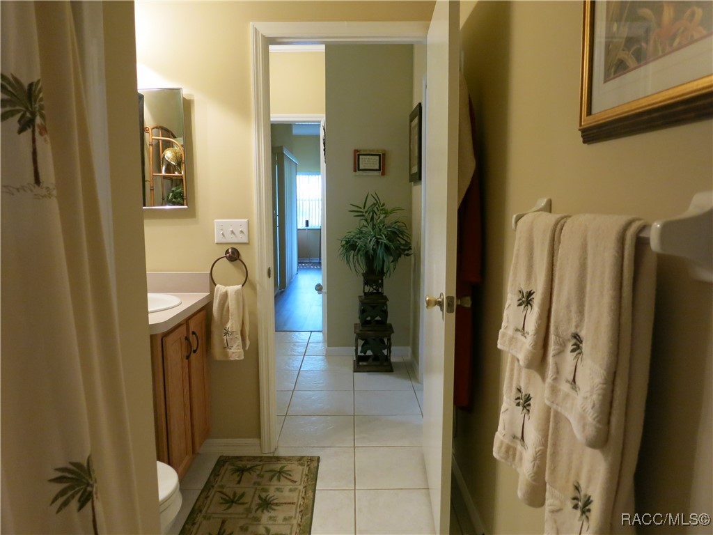 1799 W Shanelle Path, Lecanto, New York image 31
