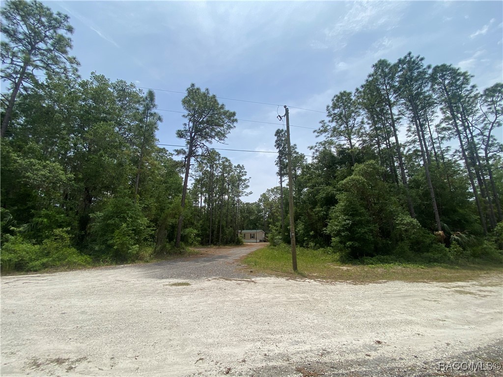 7112 W Pasco Place, Homosassa, Florida image 2