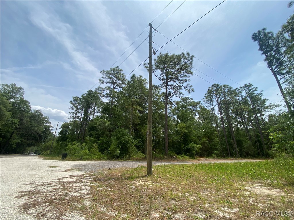 7112 W Pasco Place, Homosassa, Florida image 47