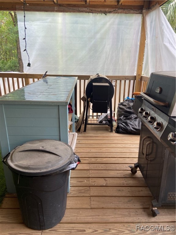 7112 W Pasco Place, Homosassa, Florida image 30