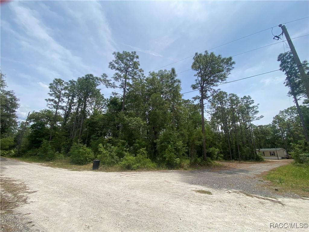7112 W Pasco Place, Homosassa, Florida image 41