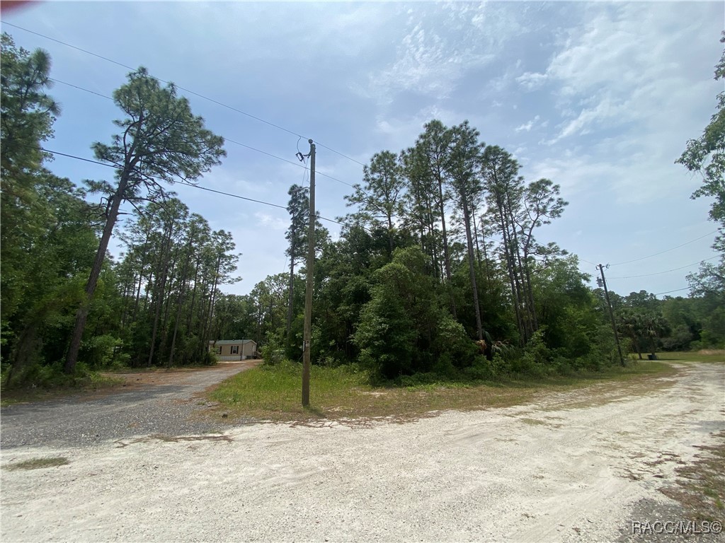 7112 W Pasco Place, Homosassa, Florida image 42
