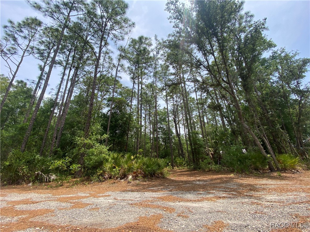 7112 W Pasco Place, Homosassa, Florida image 44