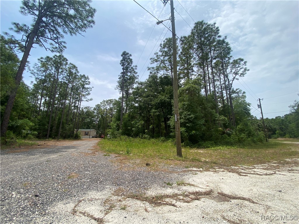 7112 W Pasco Place, Homosassa, Florida image 45