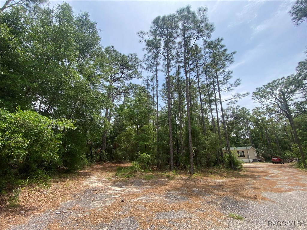 7112 W Pasco Place, Homosassa, Florida image 3