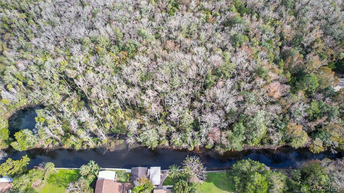 848 N Michael Brunn Point, Crystal River, Florida image 9