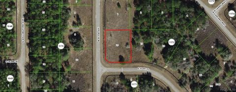 Vacant Land For Sale - 555 E Hope Place<br/> Dunnellon, FL 34434