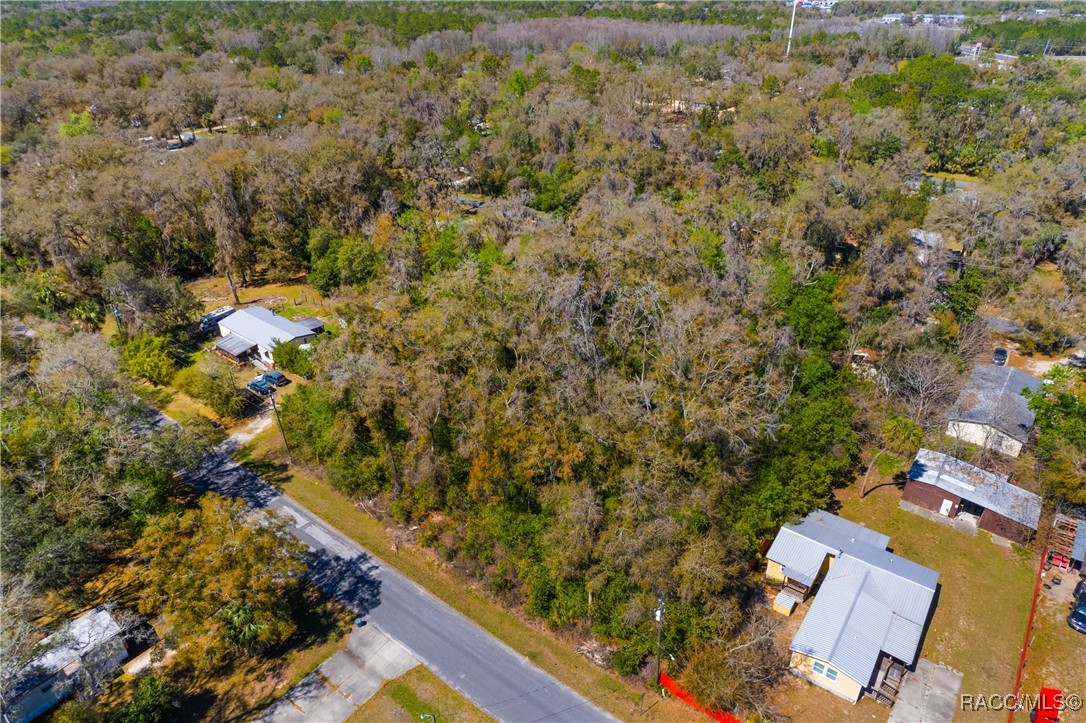 6301 W Goldenleaf Lane, Crystal River, New York image 3