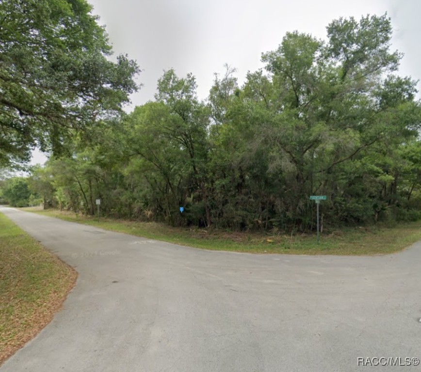 8624 N Barberry Way, Crystal River, Florida image 1