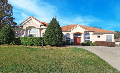 Homes For Sale - 23 W Mickey Mantle Path<br/> Hernando, FL 34442
