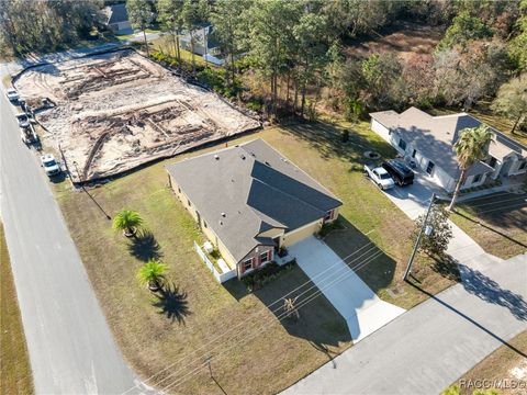 A home in Homosassa