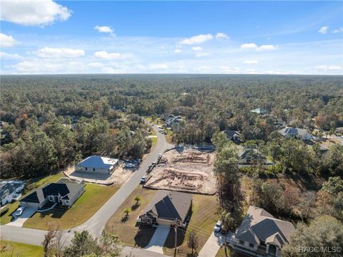 A home in Homosassa