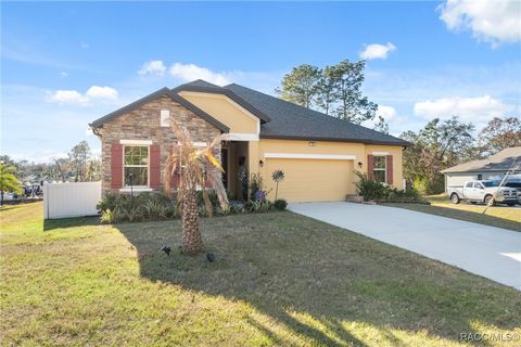 A home in Homosassa