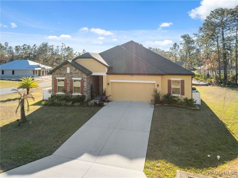 A home in Homosassa