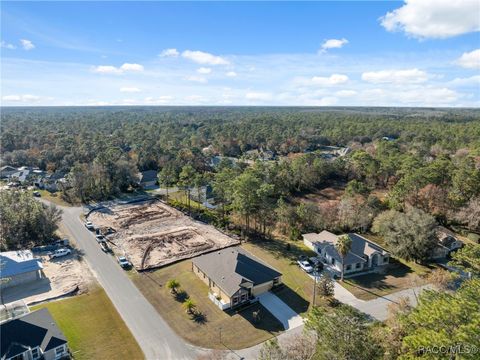 A home in Homosassa