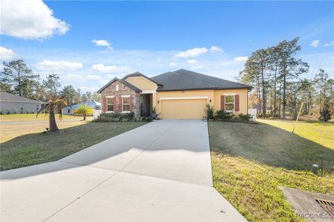 A home in Homosassa