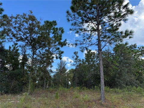 Vacant Land For Sale - 6717 N Libby Terrace<br/> Citrus Springs, FL 34433