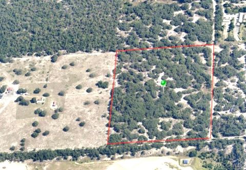 3318 S McClure Point Lecanto FL 34461