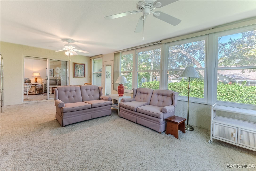 6441 Pine Meadows Drive, Spring Hill, Florida image 39